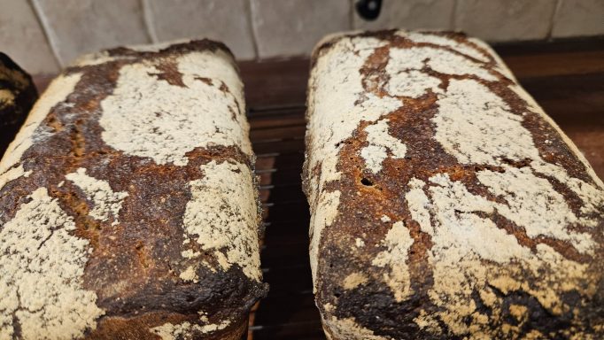 Sourdough Rye/Spelt