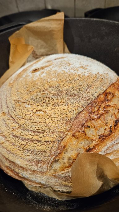 Sourdough Boule